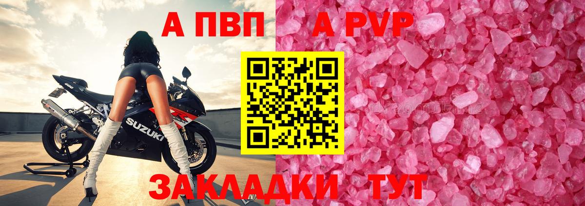 A PVP СК Элиста