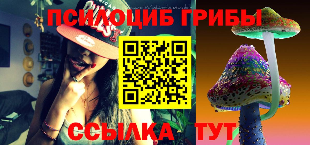 Псилоцибиновые грибы Psilocybine cubensis Элиста