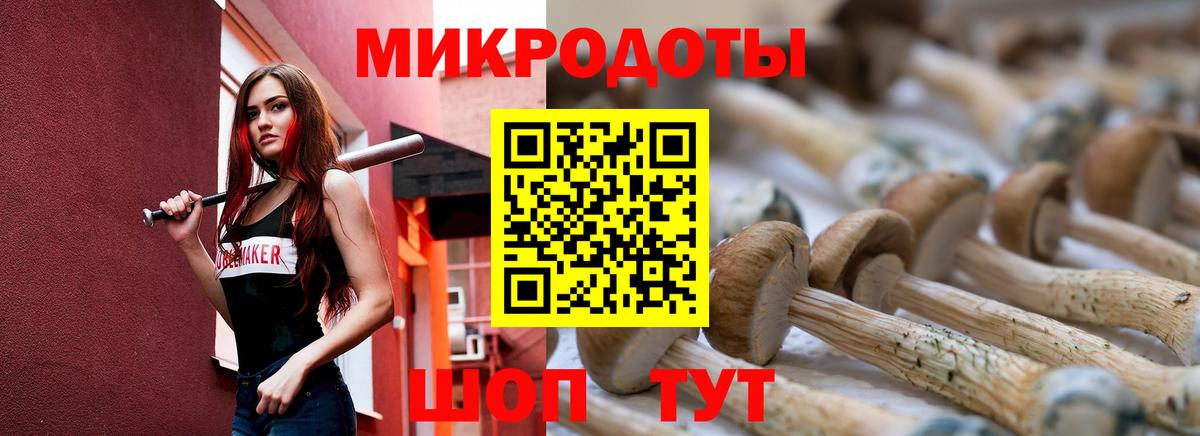 Галлюциногенные грибы Psilocybine cubensis  Вход с VPN  Элиста 