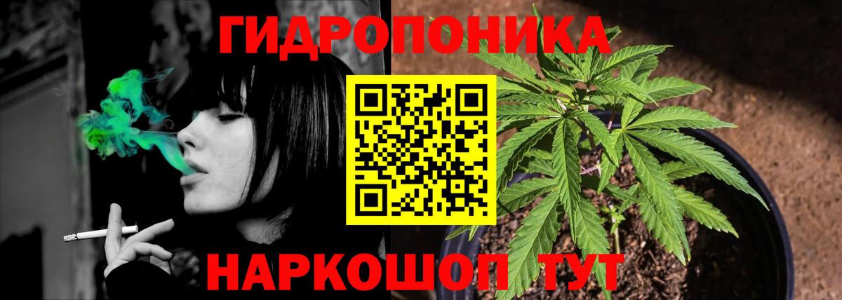 Каннабис OG Kush  Вход с VPN  Канабис MAZAR  Бошки марихуана план  Каннабис Ganja  Элиста 